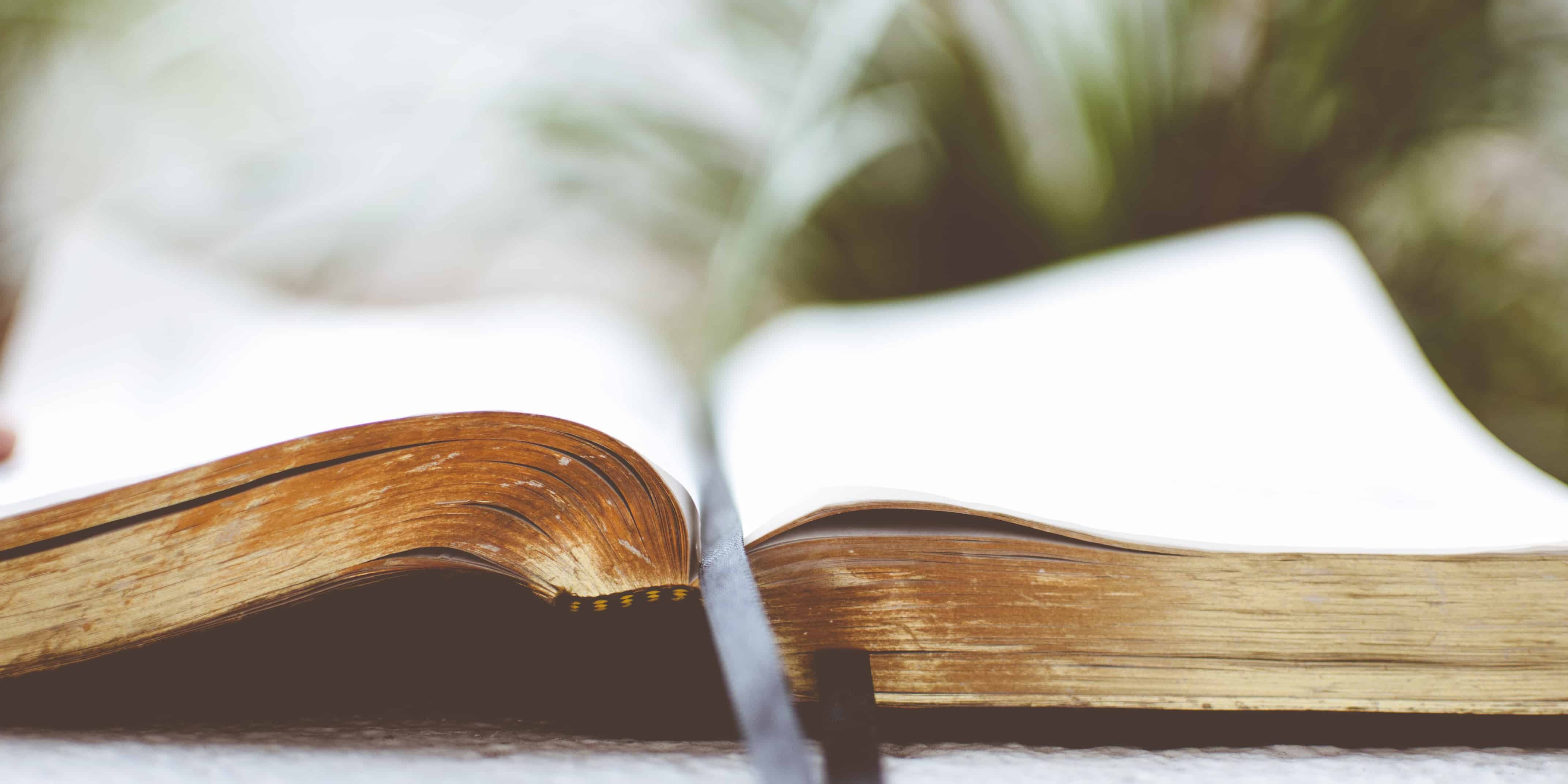 open book on white surface