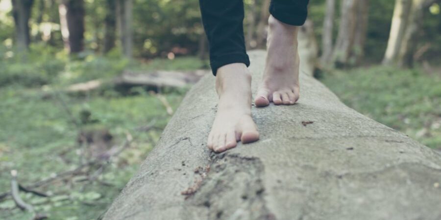 person walking on branch