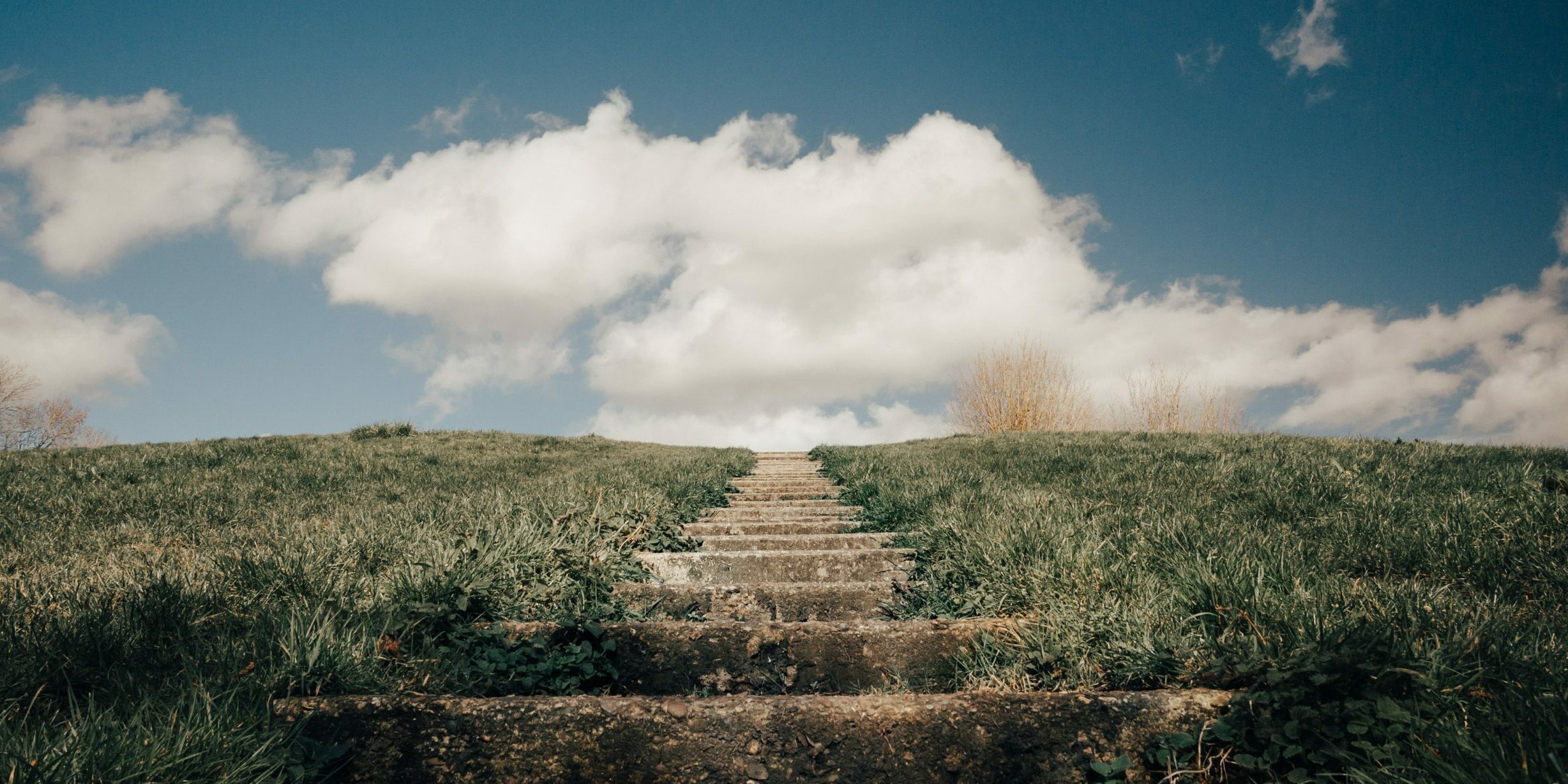 thomas-willmott-f-edYqzOYII-unsplash